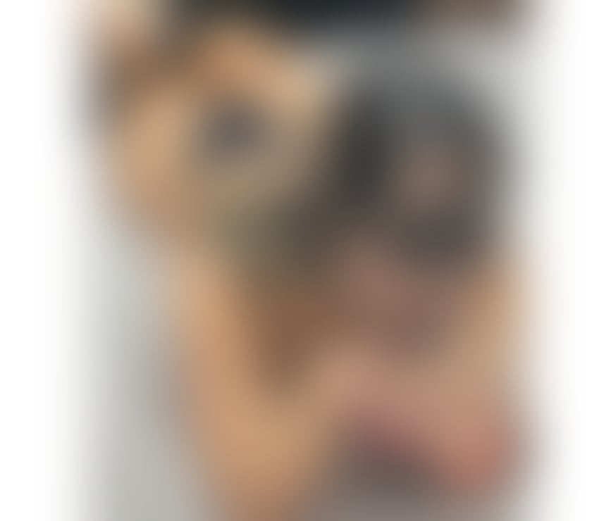 Escorts Greater Manchester Manchester - Photos for Ruby Brazilian Natural Girl in Manchester OWO CIM