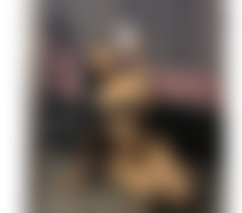 Trans Escorts Wiltshire Melksham - Wiltshire - Photos for High class girl 👧