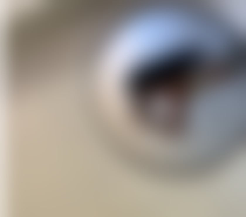 Escorts and Massages Durham County Durham - Photos for BABY TIFF HIGH CLASS 24H 💋 100% REAL 🔥🤩