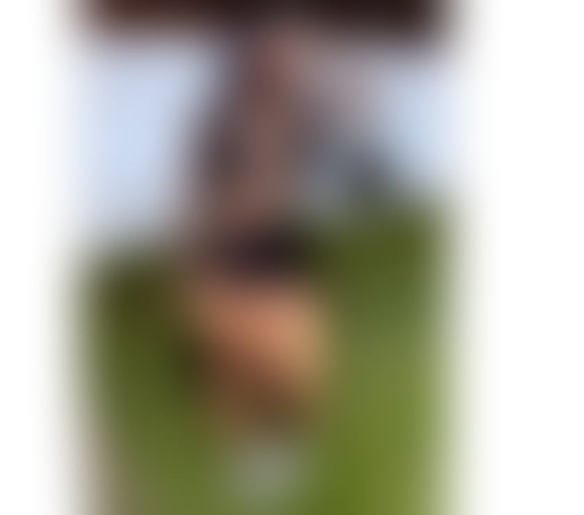 Escorts South East London Bermondsey - South East London - Photos for 🌶️🔥 CHARLOTTE 100 % 🔥🌶️ 🇧🇷