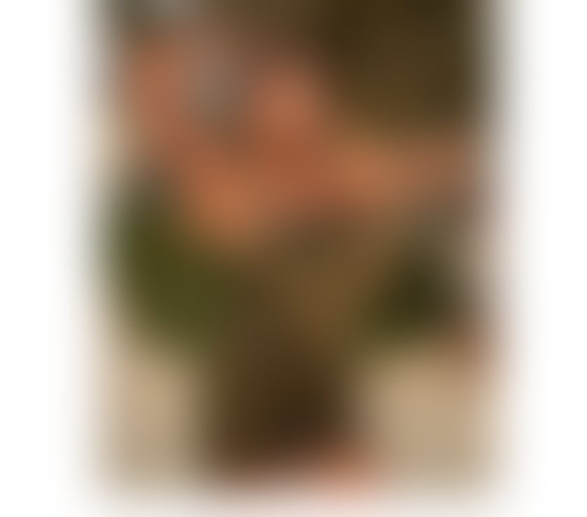 Escorts East Sussex Brighton - Photos for Samira💋 NEW IN TOWN FOR YOU💎