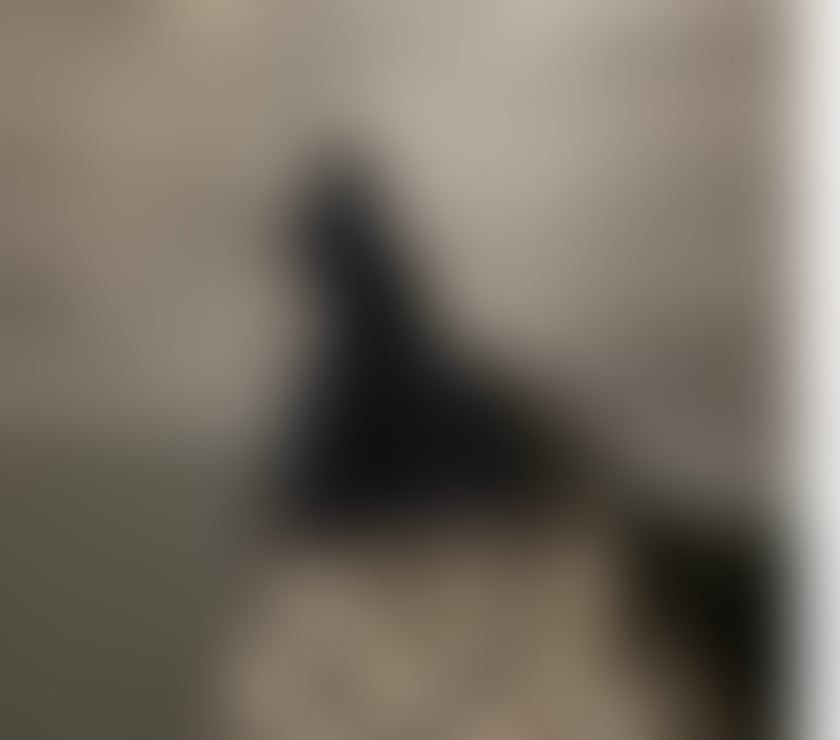  Gay massage Fife Dunfermline - Fife - Photos for Do you have a kinky fetish you want to explore?