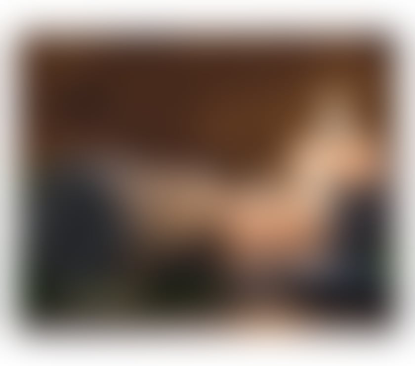 Gay Escorts Derby City Centre Derby - Photos for Professional Therapy by Steven