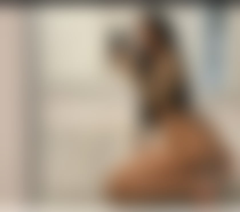 Escorts Norfolk Norwich - Photos for BRIGITTE❤️‍🔥check out my new profile 👅🥵