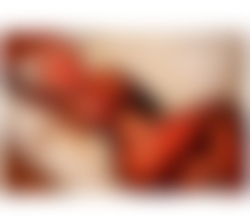 Escorts Falkirk Falkirk Town Centre - Falkirk - Photos for New in your city , girl party ❤️ really 100%