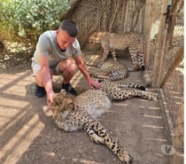 Professional Escort and massage Available