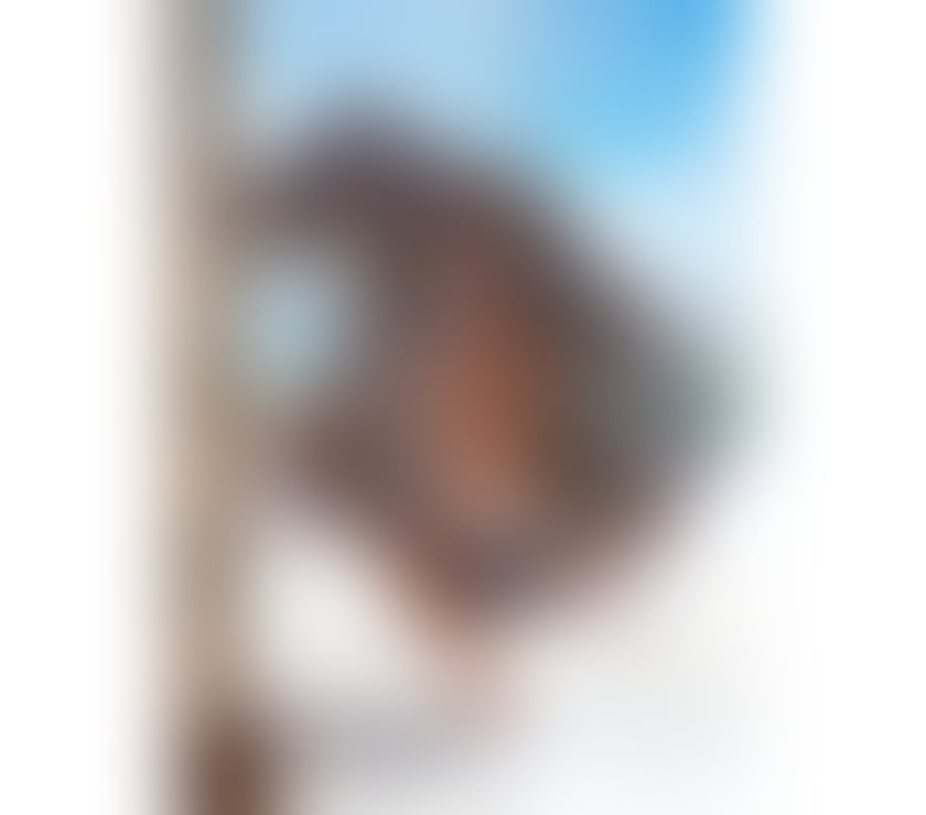 Transsexual Newcastle City Centre Newcastle upon Tyne - Photos for 🔥 NEW 😈 LEXA 🔥 BRAZILIAN TS GIRL 😈