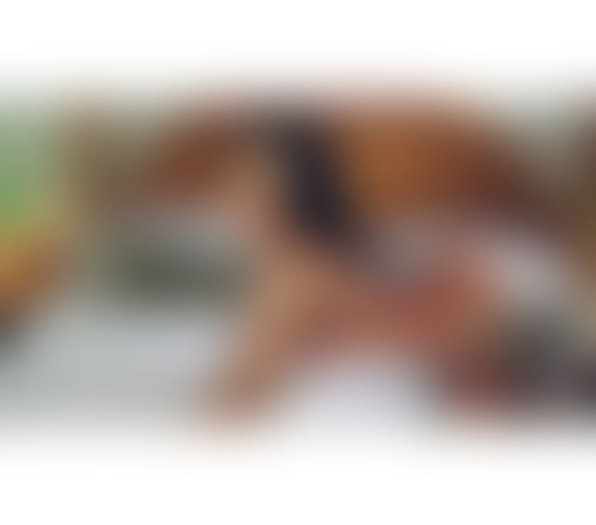 Escorts Newcastle City Centre Newcastle upon Tyne - Photos for ❣️NEW❣️ Valentina 💯REAL PARTY GIRL