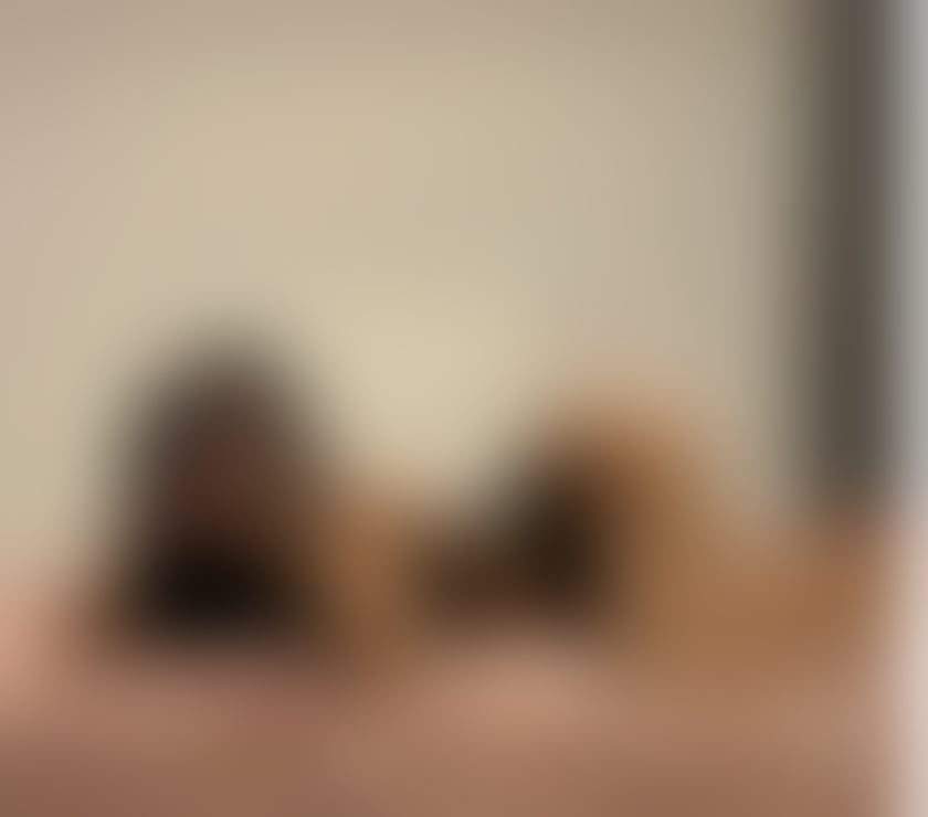 Escorts and Massages Mansfield Town Centre Mansfield - Photos for OUTCALL-INCALL📞BEST OWO🥳PARTY