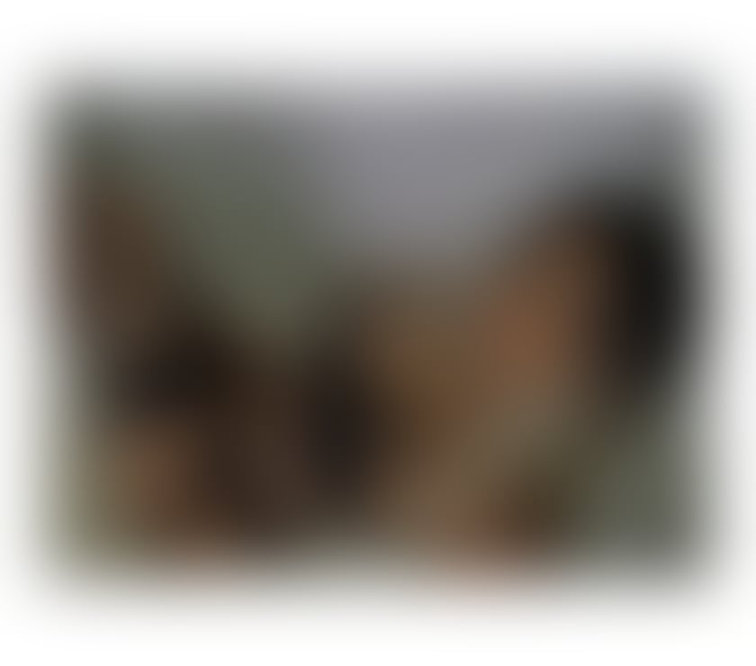 Trans Escorts Greater Manchester Manchester - Photos for 💕Nicole New Ts Girl in town💕Real pics !!