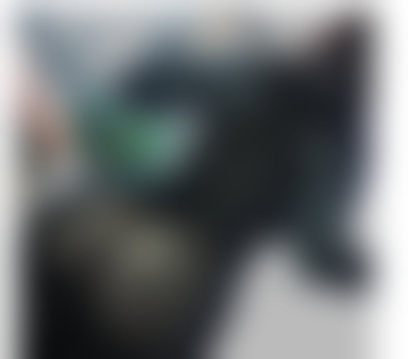 Escorts Glasgow Glasgow City Centre - Glasgow - Photos for New in town. I just arrived, it's my first time here.