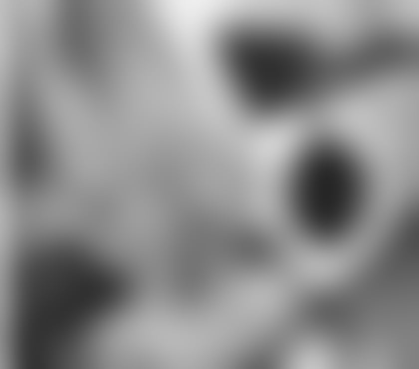 Escorts Central London Hyde Park - Central London - Photos for LARA✨HIGH CLASS🇧🇷 BODY☎️PARTY GIRL🌸🎀