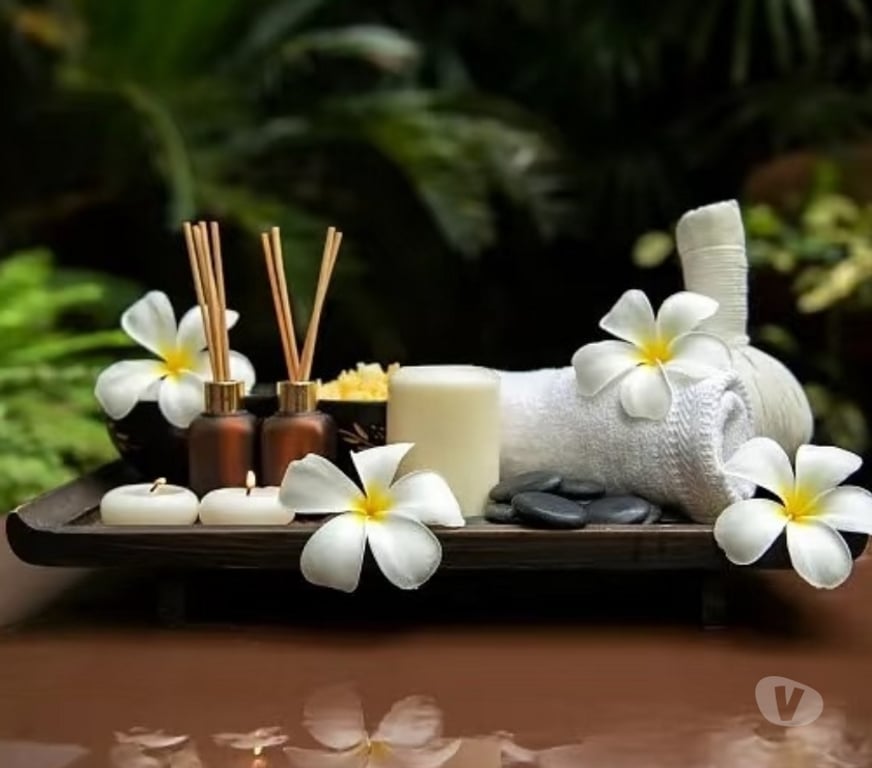 Escorts Staffordshire Cannock Chase - Photos for 🌟TOP🌟ORIENTAL ASIAN Massage💕Cannock