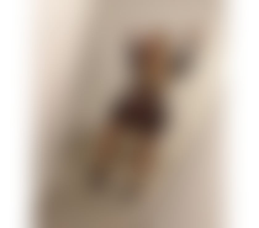 Escorts Lincolnshire Lincoln - Photos for RUBI❤️‍🔥PARTY GIRL🍾🥂NEW GIRL IN TOWN🇧🇷