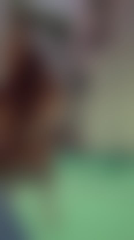 Escorts Highland Inverness - Highland - 