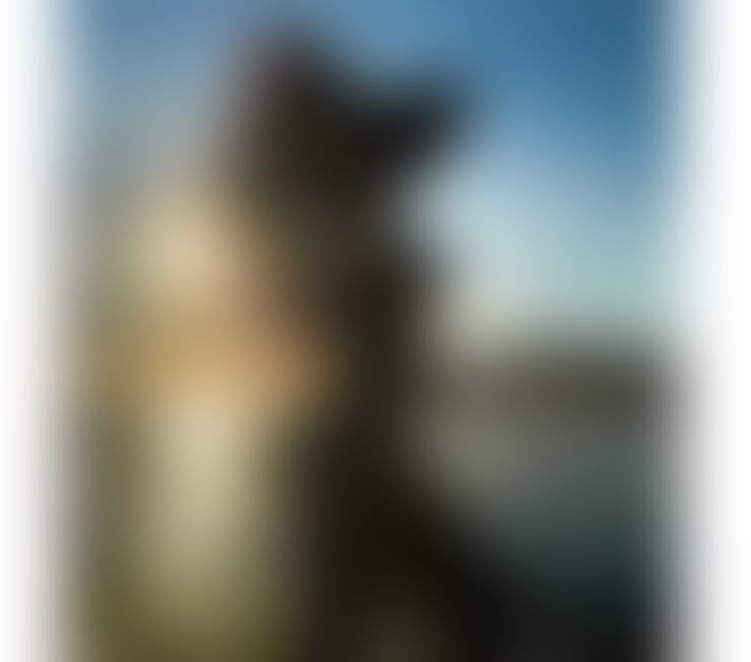 Escorts South East London Woolwich - South East London - Photos for 💋LUCY 🌸best party full services 💯call me!!