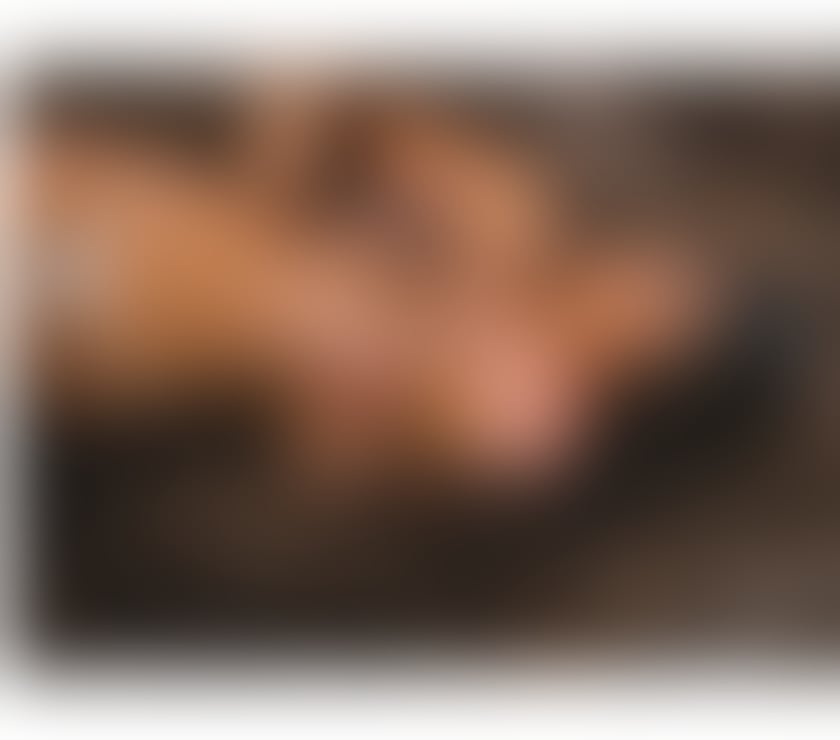 Escorts Leicestershire Charnwood - Photos for FIRST time here 🇧🇷💋 Arrive from Brazil Today 🌟