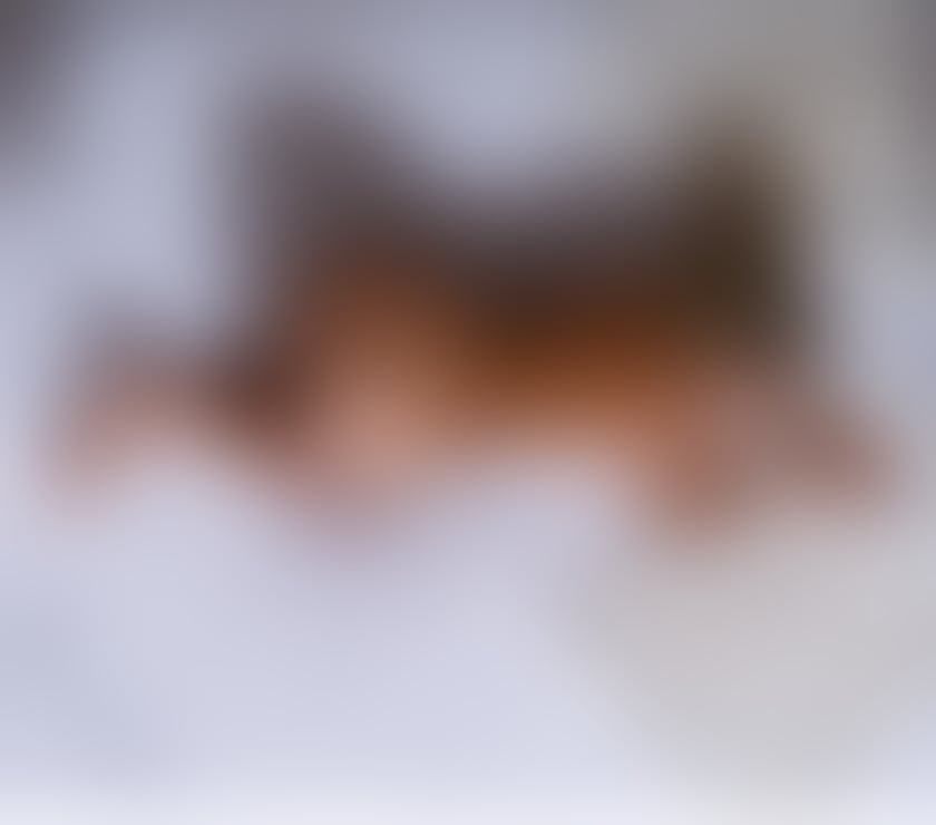 Escorts East London Canary Wharf - East London - Photos for 💎ANGEL VIVARA💎QUEEN OF LEVEL A😈VELVET MOUTH🤤