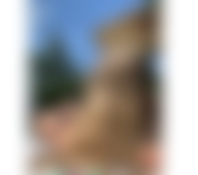 Escorts Devon Torbay - Photos for ALICE BRAZILIAN GIRL IN TOWN ❤️. PARTY GIRL 🥂