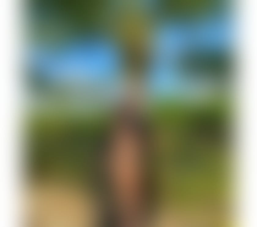 Escorts and Massages Ravenswood Ipswich - Photos for ✨ AMANDA ✨ Your irresistible Latin temptation