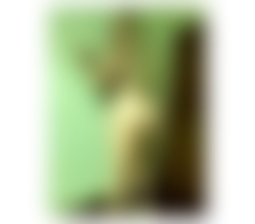 Escorts Dundee Dundee City Centre - Dundee - Photos for Michele 🇧🇷in Dundee ❤️💦🔥🫦