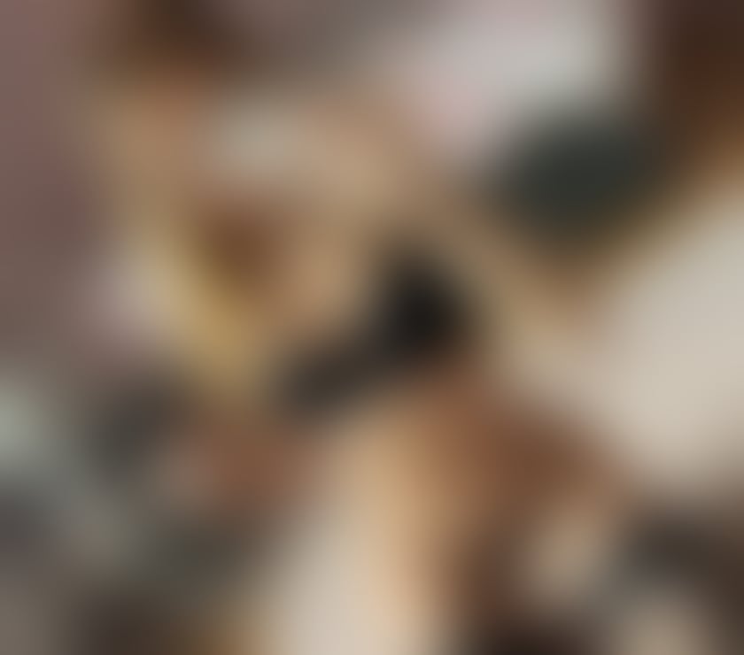 Escorts Hampshire Basingstoke and Deane - Photos for LoRa 🅱️LONDE 🎉GIRL💥NEW IN TOWN🍒