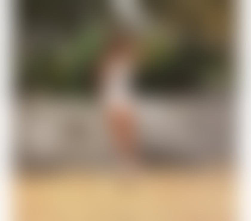 Escorts Central London Aldgate - Central London - Photos for Emy – Girl's Party 😈✨