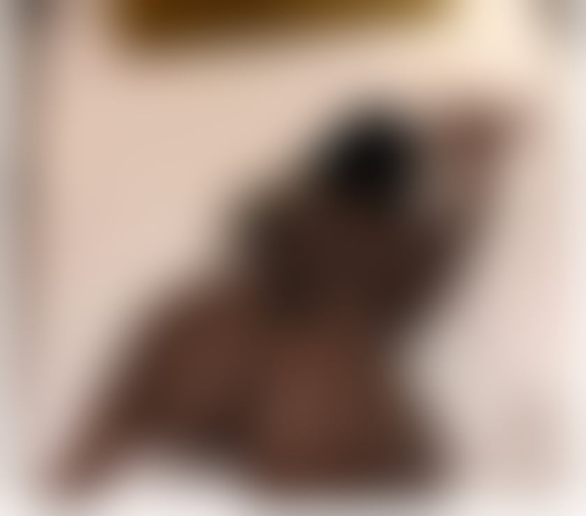 Escorts Nottinghamshire Nottingham - Photos for Chocolate goddess ❤️🍫