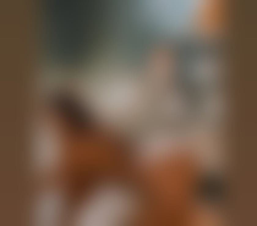 Escorts Gloucestershire Gloucester - Photos for DIANNA❤️BIG ASS 😜SWEET AFRICANN🍫