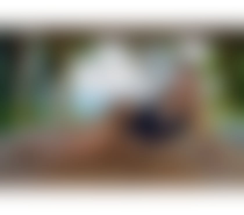 Escorts Essex Chelmsford - Photos for 🔥🔥TRANSEXUAL WOMAN Nikole Paris👅🔥🔥 100% REAL