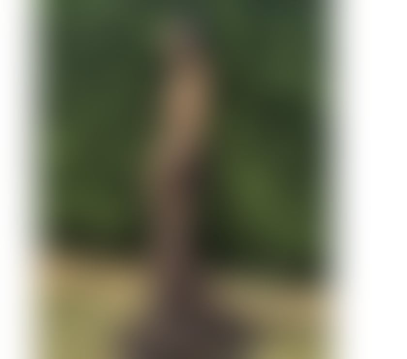 Hello. Gentlemen I am Amanda Thailand.