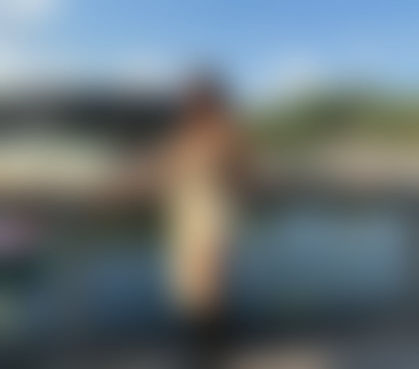 Escorts North West London Willesden Green Station - North West London - Photos for ❣️TRANS TS ATHENA XXL VERSÁTIL❣️