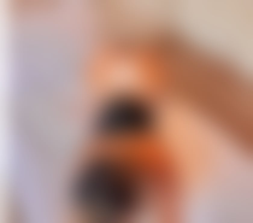 Escorts Newport - Wales Newport City Centre - Newport - Photos for Fernanda Kelly 🎀