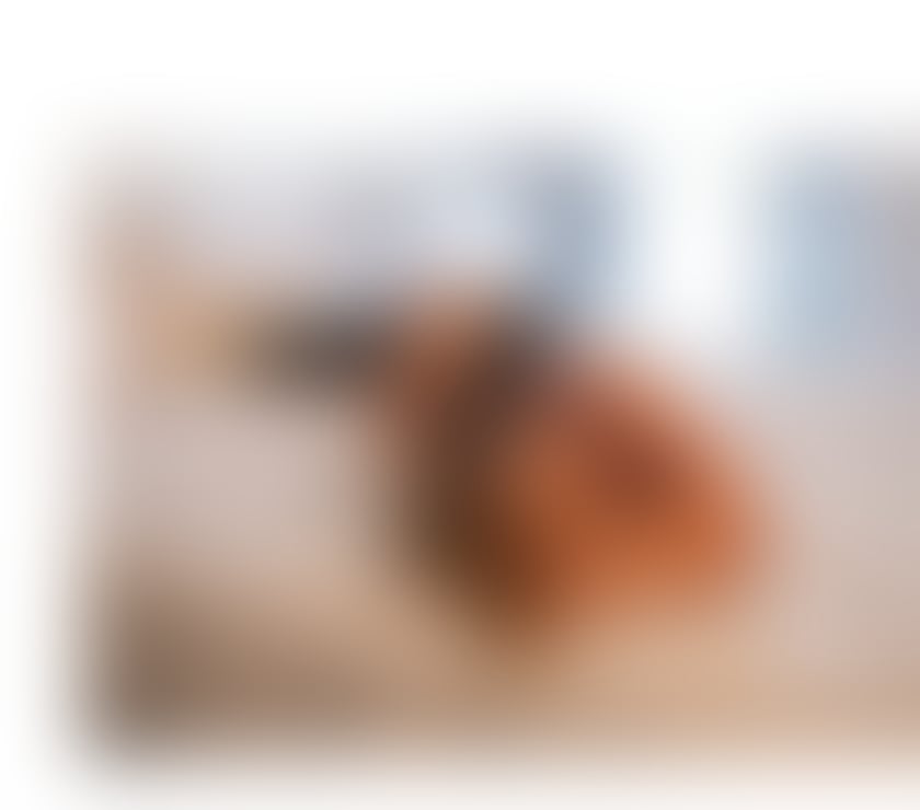 Escorts Hampshire Winchester - Photos for NEW IN TOWN MASSAGE AND STRAP-ON