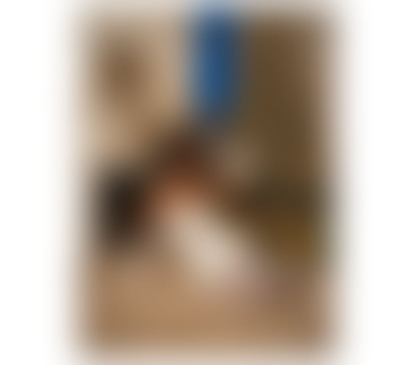 Escorts County of Herefordshire Hereford - County of Herefordshire - Photos for Melissa, your girlfriend, best service.