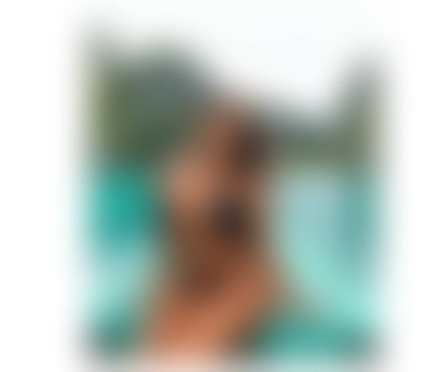 Escorts Greater Manchester Manchester - Photos for Julia 100%realy beautiful brazilian first time in the city