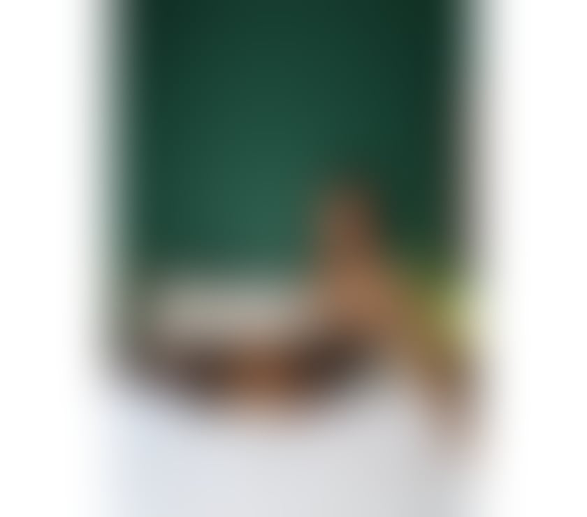 Escorts Gloucestershire Cheltenham - Photos for Charissa Thai TS