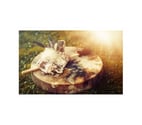 Holistic Healing Treatments - Massage