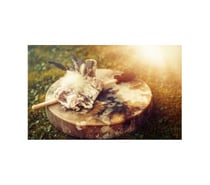 Holistic Healing Treatments - Massage