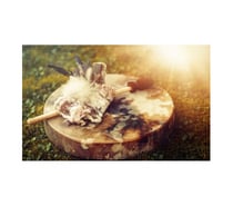 Holistic Healing Treatments - Massage