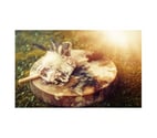 Holistic Healing Treatments - Massage