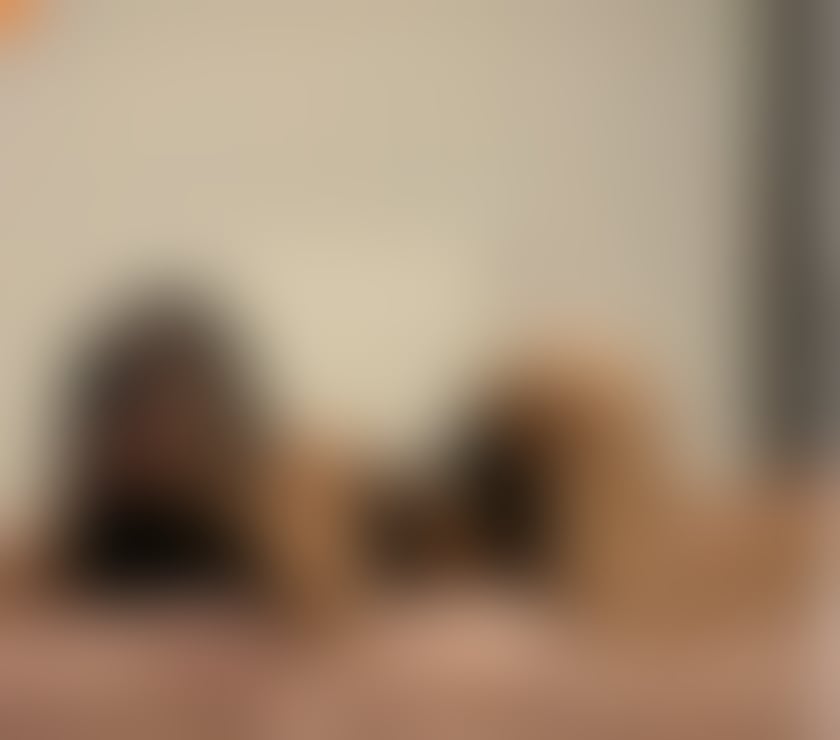 Escorts and Massages Carrville County Durham - Photos for Melisa here new party girl 🎉🥰🍷