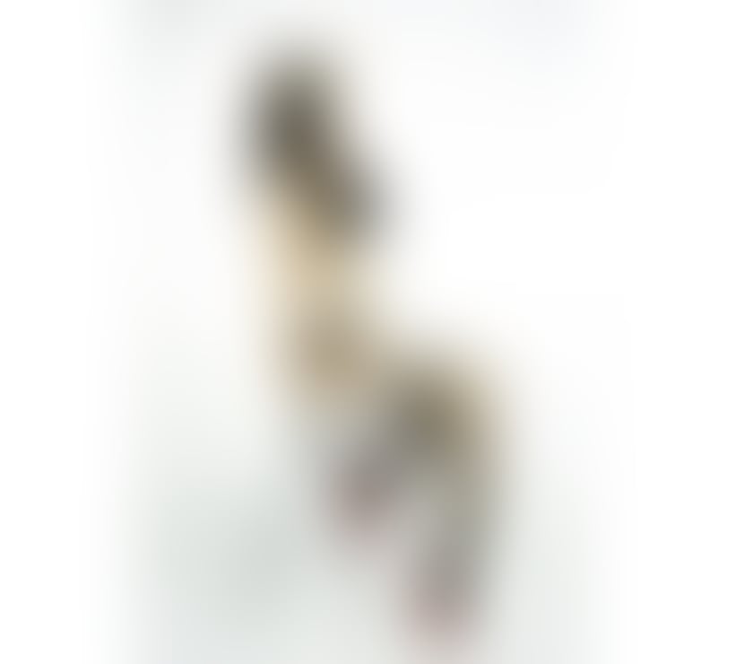 Escorts South East London Lewisham - Photos for Emily UNFORGETTABLE GIRLFRIEND EXPERIENCE & BEST BJ