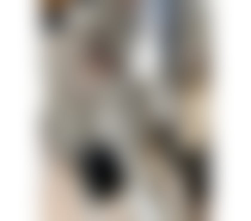 Escorts Essex Harlow - Photos for Natasha new girl real 💯%