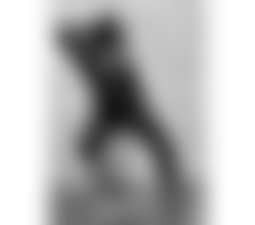 Escorts West Midlands Dudley - Photos for JennyDrip 100% REAL PHOTOS💋