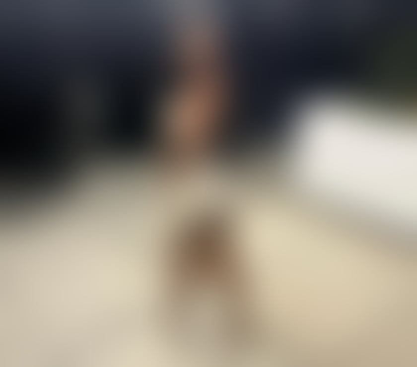 Escorts South West London Stockwell - South West London - Photos for NEW ELENA❤️❤️Brunette🔥 HOT LADY🎉😈