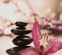 Urban euphoria available for massage service.