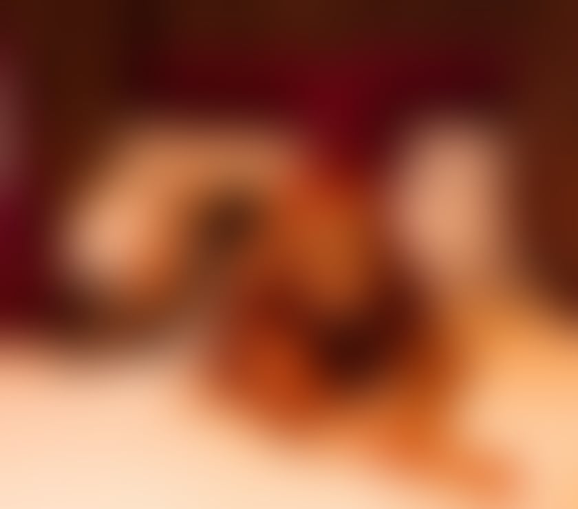 Escorts Greater Manchester Manchester - Photos for 🦊 Ana 🇧🇷 Sweet & Charming Brazilian 🍾