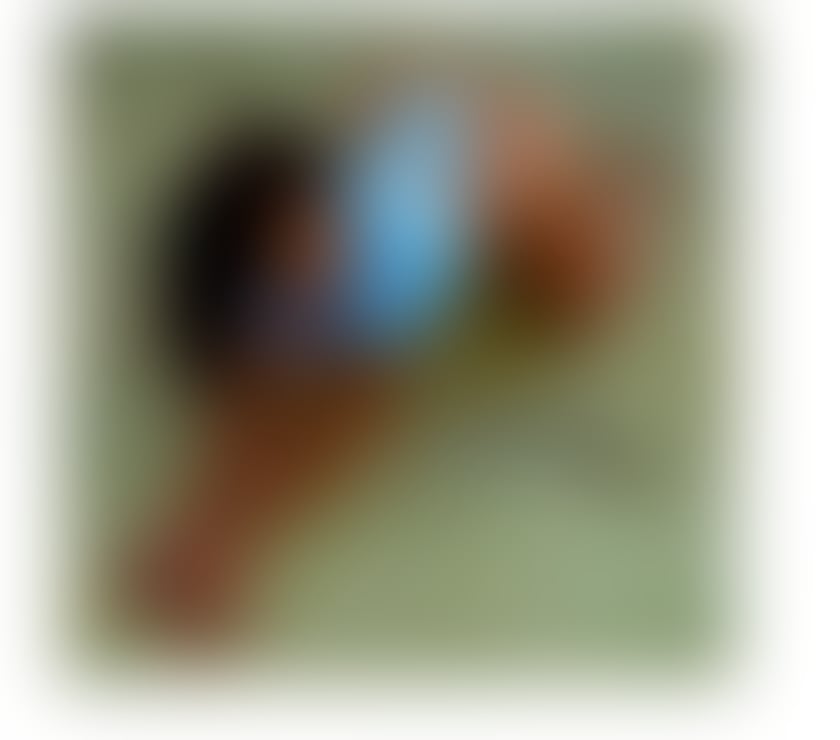 Escorts Highland Inverness - Highland - Photos for ❤️‍🔥Liz Latina Sexy Brazilian Girl First Time