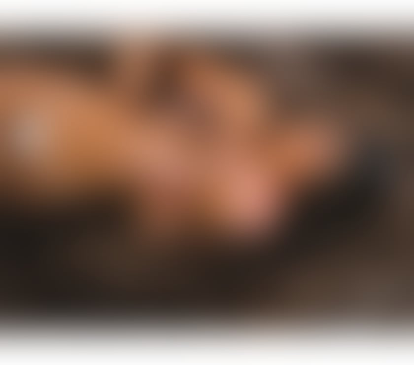 Escorts Oxfordshire Oxford - Photos for LUISA FIRST TIME HERE 🎉100% REAL ALL NATURAL🍭